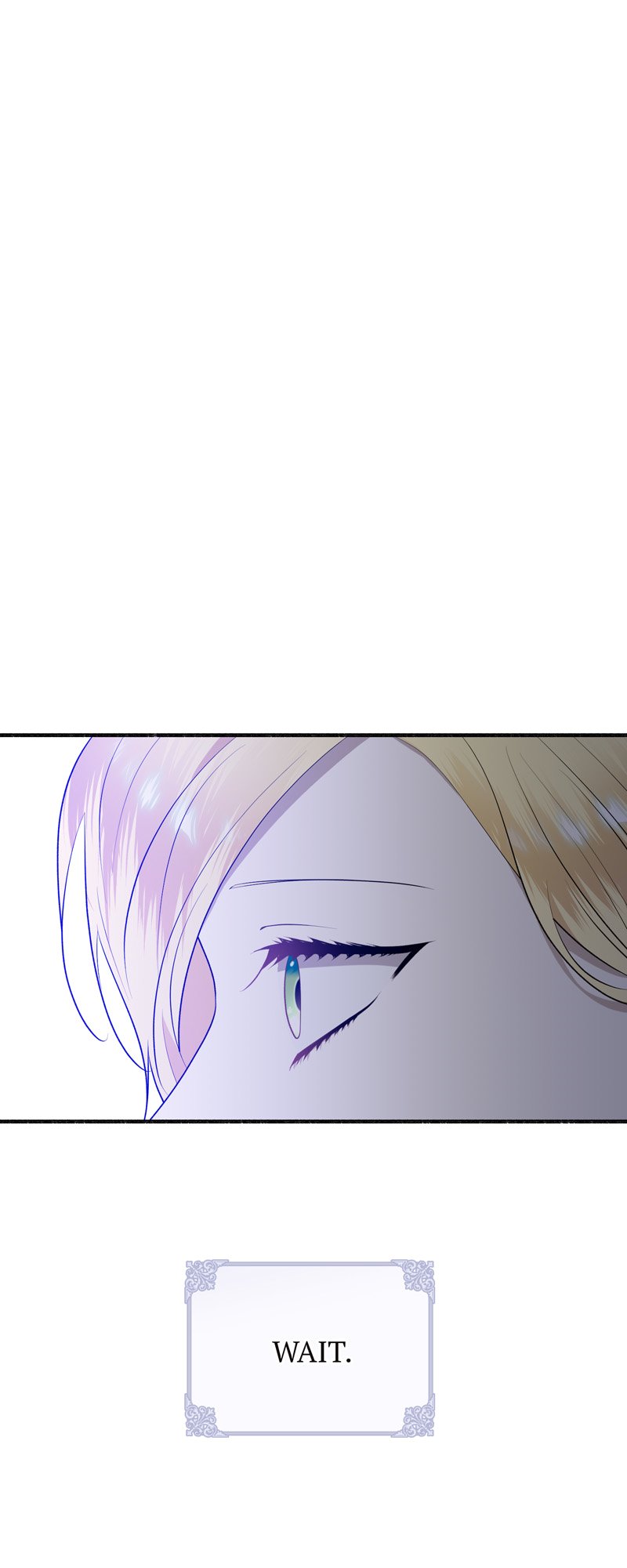 50662926 800 2000 79650